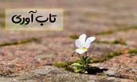13 اکتبر ( 22 مهر ماه ) روز جهانی کاهش اثرات بلایای طبیعی 