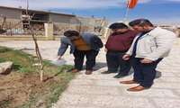 کاشت نهال در روز درختکاری